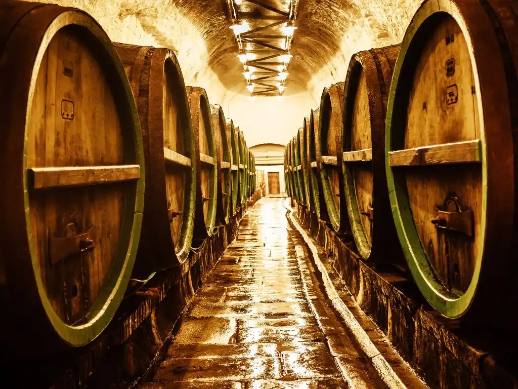 Barrels of tequila aging in a distillery